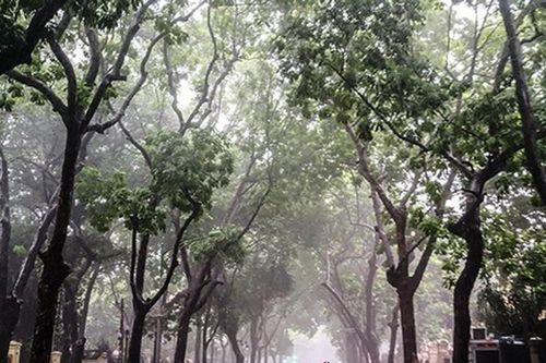 Dự báo gió mùa Đông Bắc từ chiều tối 04/10/2026: Bắc Bộ chuyển lạnh, mưa to diện rộng