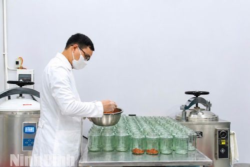 Chuyển đổi số - “đòn bẩy” nâng sức cạnh tranh cho kinh tế tập thể
