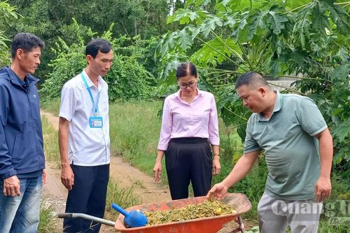 Giảm chi phí, nâng chất lượng nông sản