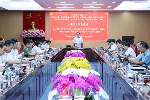 Đẩy mạnh phát triển khoa học, công nghệ, đổi mới sáng tạo và chuyển đổi số tỉnh
