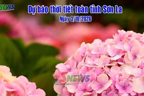 Dự báo thời tiết toàn tỉnh Sơn La ngày 3/10/2026