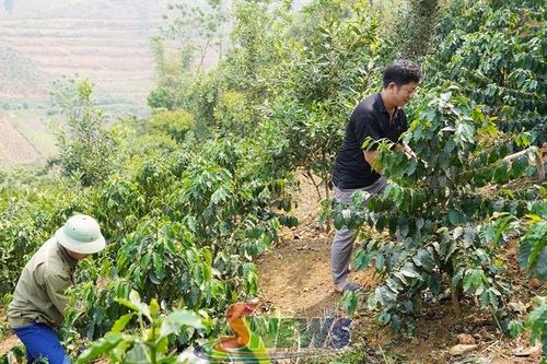 Đổi mới phương thức lãnh đạo - tạo sức bật vùng cao