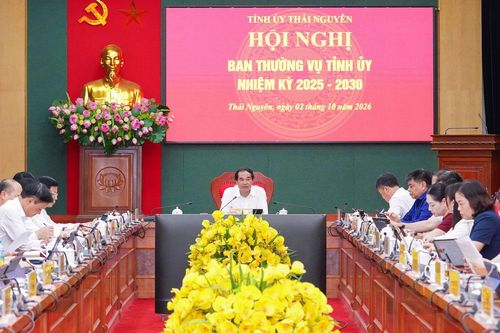 Ban Thường vụ Tỉnh ủy cho ý kiến một số nội dung theo thẩm quyền