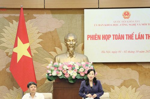 Rà soát, hoàn thiện các chính sách lớn, mới về phát triển điện lực