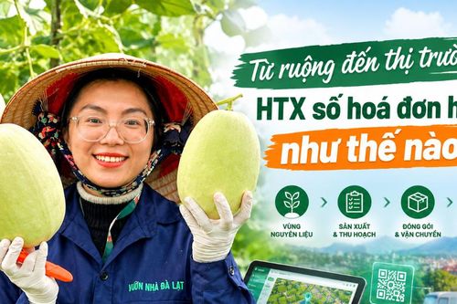 Từ ruộng đến thị trường: HTX số hoá đơn hàng như thế nào?