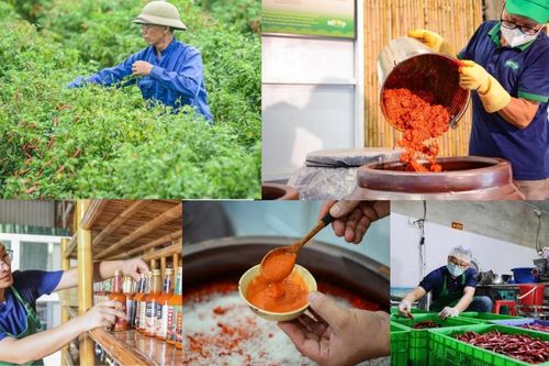 Từ lên men trong chum sành, 9X xứ Thanh khởi nghiệp bằng sự khác biệt