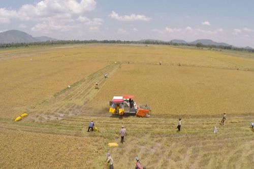 Đẩy mạnh xuất khẩu nông sản vào thị trường Pháp