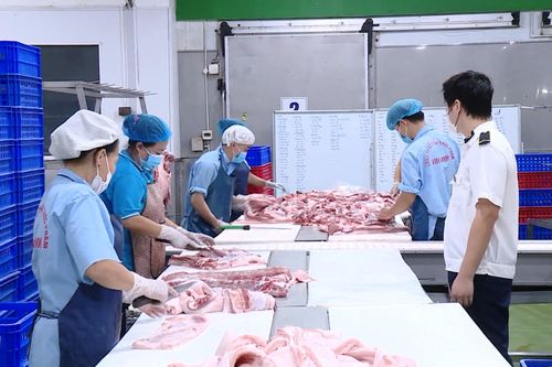 Bảo đảm an toàn thực phẩm từ cơ sở chăn nuôi đến tiêu thụ