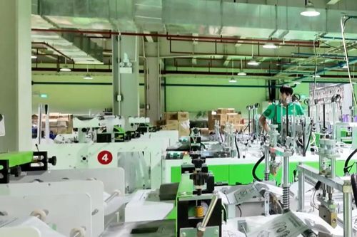Phát triển kinh tế xanh từ bao bì xanh