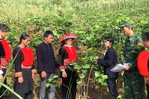 Bí thư chi bộ nơi khó nhất - Giữ 'gốc rễ' của Đảng trên dãy núi biên cương (Bài 1)
