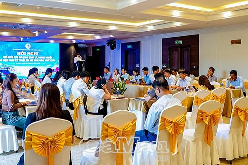 Cà Mau phổ biến quy định kỹ thuật đối với sản phẩm xuất khẩu