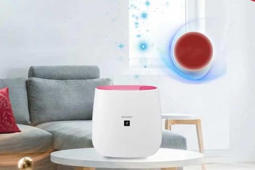 Máy lọc không khí ion âm có thực sự cần thiết? 5 điều nên biết trước khi mua