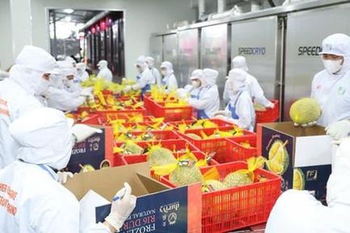 Truy xuất nguồn gốc - 'hộ chiếu' để hàng Việt đi xa