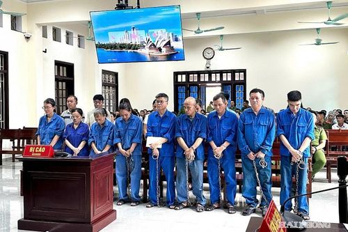 17 bị cáo lĩnh án vụ 200 tấn thịt lợn nhiễm dịch ở Công ty Đồ hộp Hạ Long