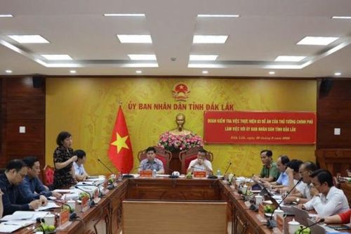 Đắk Lắk triển khai đồng bộ các đề án chính sách dân tộc, phát triển vùng Tây Nguyên