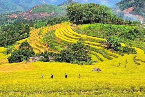 Dự kiến ngày 24/10 khai mạc Hội Mùa vàng Lục Hồn 2026