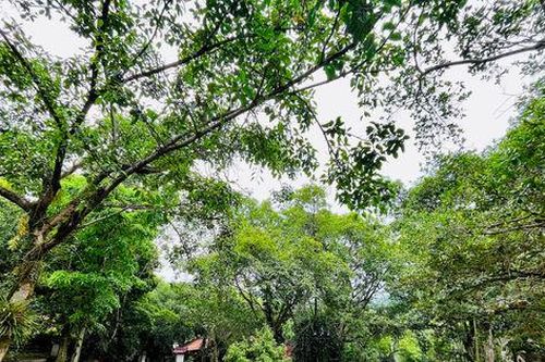 Điều chỉnh diện tích đất tại Khu du lịch văn hóa Sóc Sơn