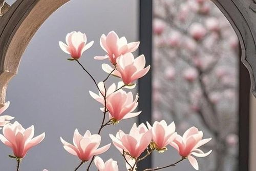 Ngày sinh Âm lịch của đứa trẻ có vận may đồng hành suốt cuộc đời