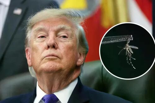 Tổng thống Trump 'tuyên chiến' với muỗi
