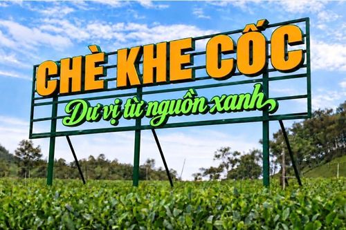 Thái Nguyên bắc nhịp cầu đưa hương trà đến Festival Trà Quốc tế