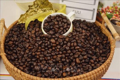 Bản tin nông sản hôm nay (3-10): Giá cà phê giảm nhẹ
