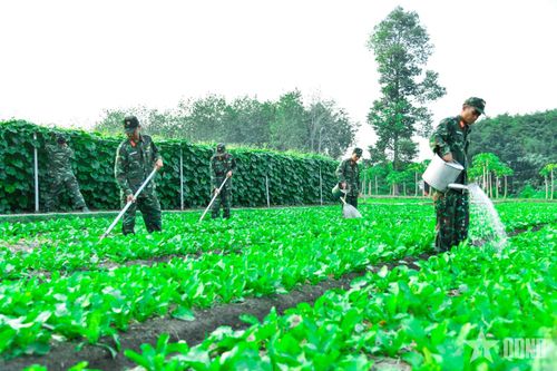 Sư đoàn 9 (Quân đoàn 34): Sắc xanh từ ý thức người chiến sĩ