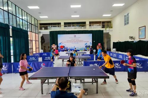 Khai mạc Giải thể thao Cúp Bóng bàn, Pickleball Hội nhà báo TP Hải Phòng năm 2026