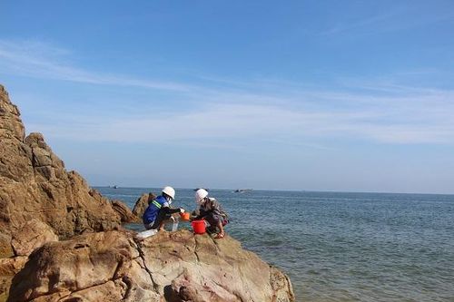 Lập đoàn kiểm tra, tìm nguyên nhân cá chết bất thường ven biển Quảng Trị