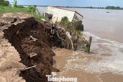 Thót tim 'hà bá nuốt' từng mảng đê bao cồn Thanh Long