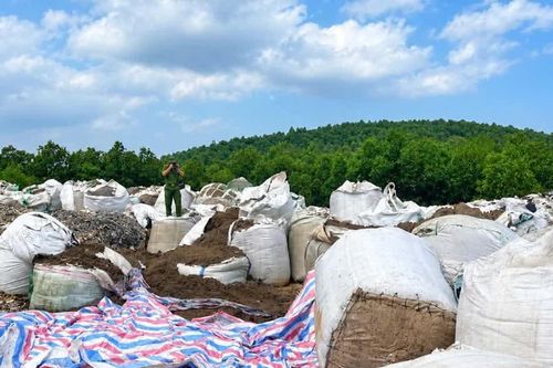 Bị khởi tố vì tập kết trái quy định vỏ dây điện thải để tái chế