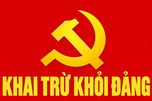 Nguyên Phó trưởng Phòng TN&MT ở Quảng Ngãi bị khai trừ khỏi Đảng
