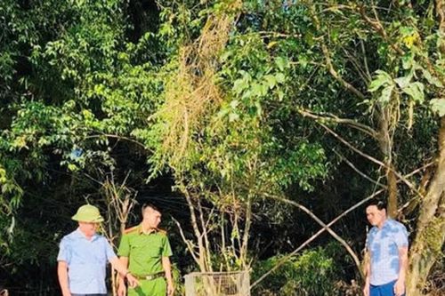 Thả 13 cá thể chim về môi trường tự nhiên