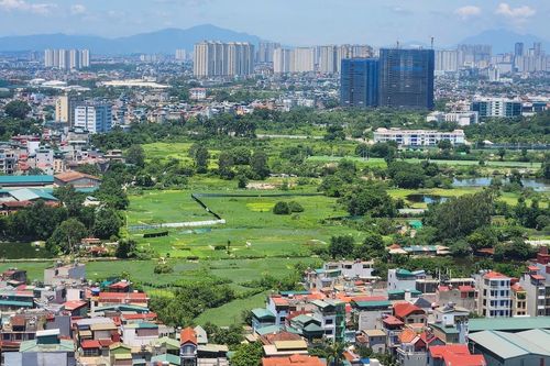 Đề xuất tính lại tiền sử dụng đất, cấp sổ đỏ cho đất có vi phạm