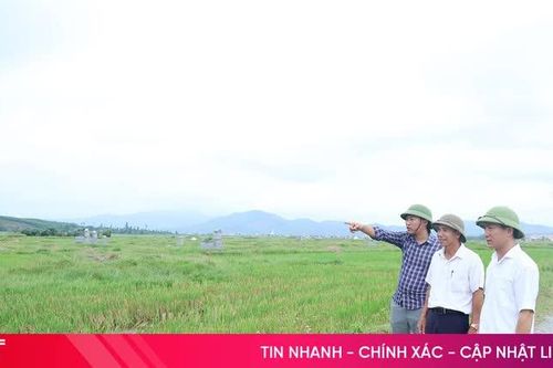 Kỳ Khang tạo đồng thuận trong quy tập mộ, mở đường tích tụ ruộng đất