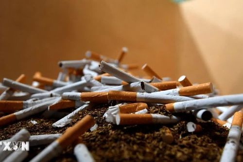 Mexico triệt phá cơ sở sản xuất thuốc lá lậu, thu giữ 60 tấn hàng