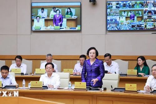Phó Thủ tướng: Khẩn trương hoàn thiện các nhiệm vụ về tổ chức bộ máy, biên chế
