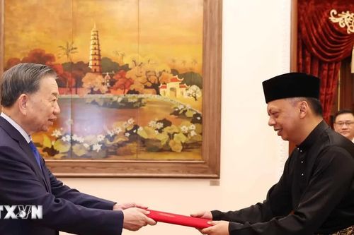 Tổng Bí thư, Chủ tịch nước Tô Lâm tiếp các Đại sứ Đặc mệnh toàn quyền các nước trình quốc thư