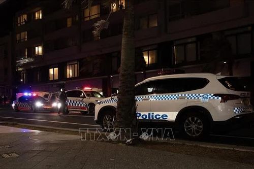 Xe ô tô đâm vào đám đông cổ động viên ở Australia làm 10 người bị thương