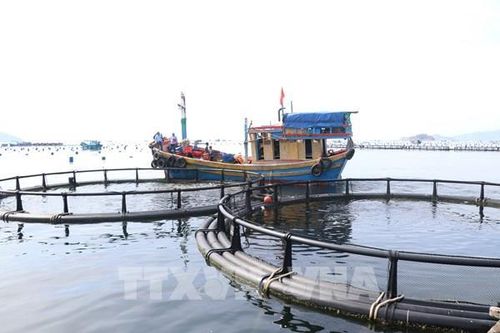 Quý III, GDP của cả nước tăng 9,95%