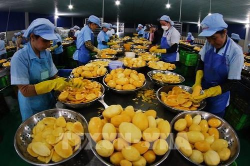 9 tháng, số doanh nghiệp thành lập mới tiếp tục tăng