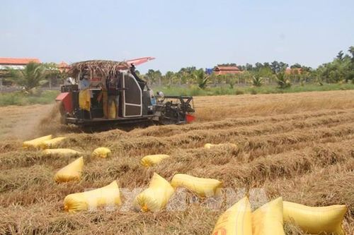 Kinh tế xanh và tuần hoàn - Chìa khóa phát triển bền vững