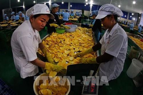 Khu vực nông, lâm nghiệp và thủy sản tiếp tục giữ vai trò trụ đỡ của nền kinh tế