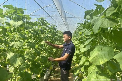Doanh nhân trẻ với phong trào khởi nghiệp đổi mới sáng tạo