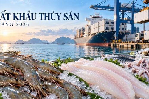Xuất khẩu thủy sản 9 tháng vượt 9 tỷ USD, dự báo giảm tốc trong quý 4/2026