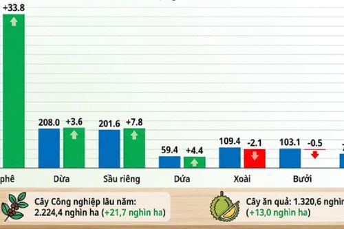 Nông, lâm, thủy sản 9 tháng năm 2026 tăng 4,02%, cây lâu năm bứt phá