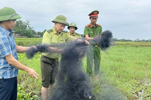 Xã Mỹ Thái: Một ngày phát hiện 3 vụ vi phạm quy định về bảo vệ động vật hoang dã