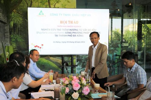 Nghiên cứu tạo trầm hương từ cây dó bầu bằng phương pháp sinh học