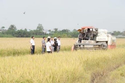 Phát huy vai trò của hợp tác xã trong tái cơ cấu ngành Nông nghiệp