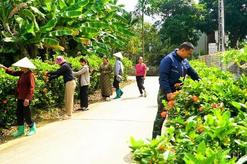 Phát huy khối đại đoàn kết ở Chấn Thịnh