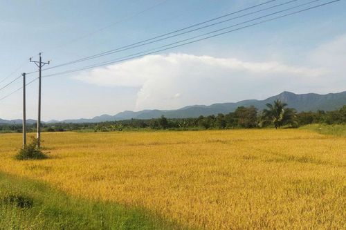 Tính toán từ trong mưa lũ